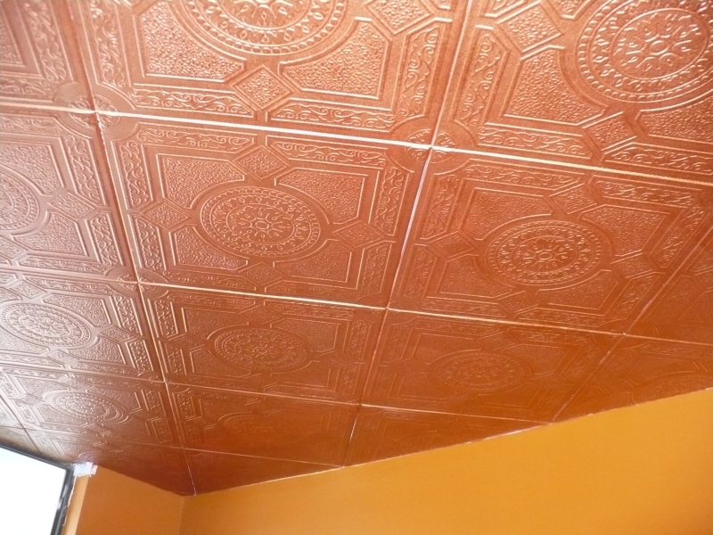painting styrofoam ceiling tiles